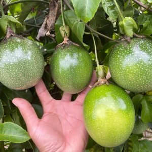 WhatsApp Image 2024-04-08 at 7.53.26 PM (2)