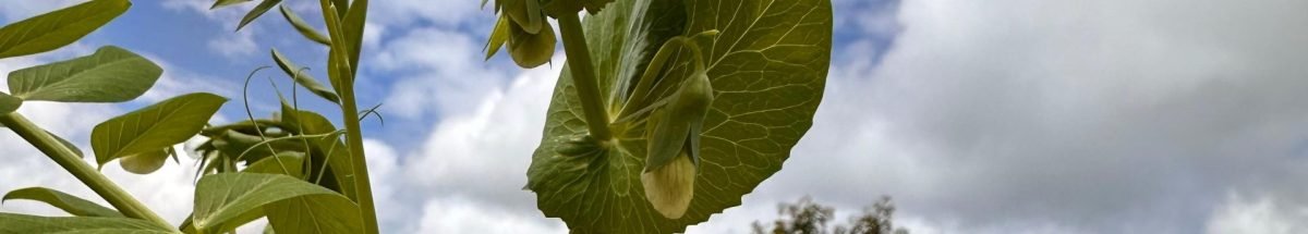 WhatsApp Image 2024-07-09 at 12.09.54 PM (1)