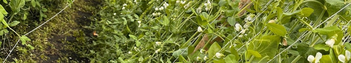 WhatsApp Image 2024-07-09 at 12.09.54 PM